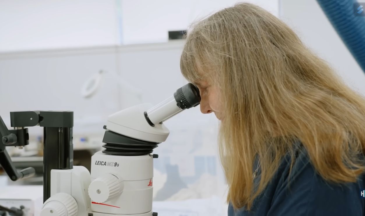 Rare Viking Treasure