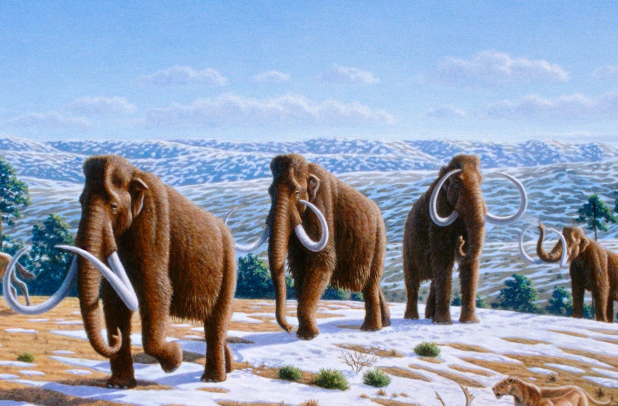 Late Pleistocene landscape in northern Spain