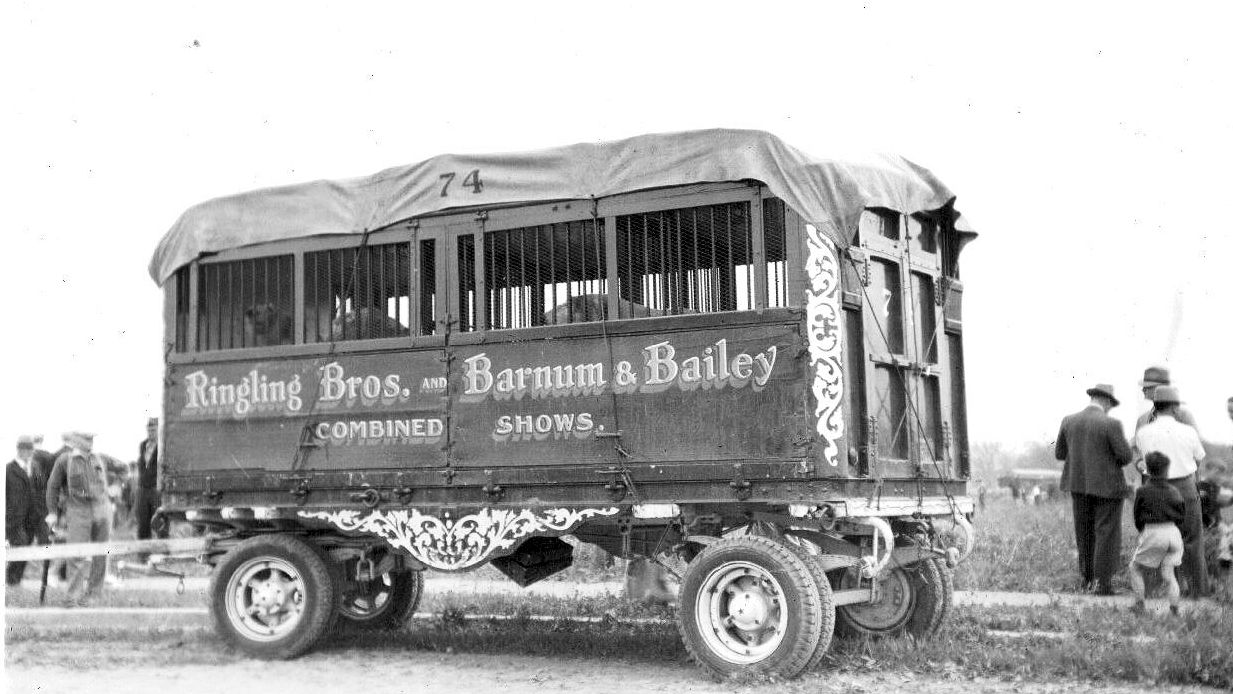 1939 - Animal Wagon - Ringling Brothers Barnum & Bailey Circus