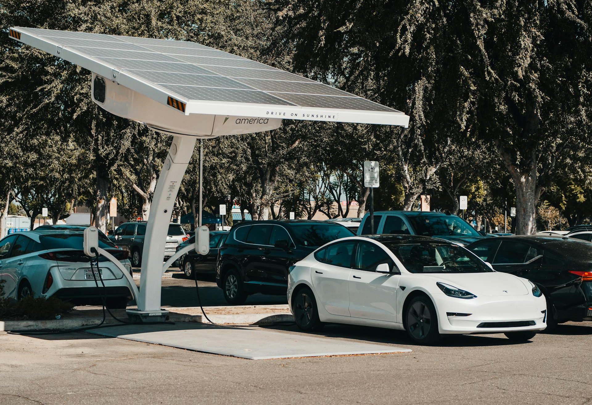 Electric Cars Charging on Stations