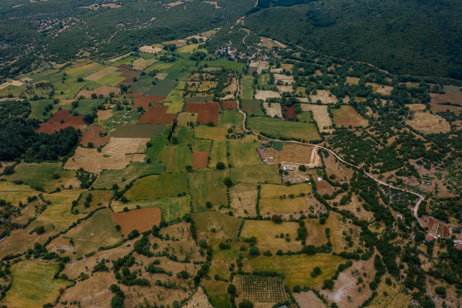Aerial View of Fields