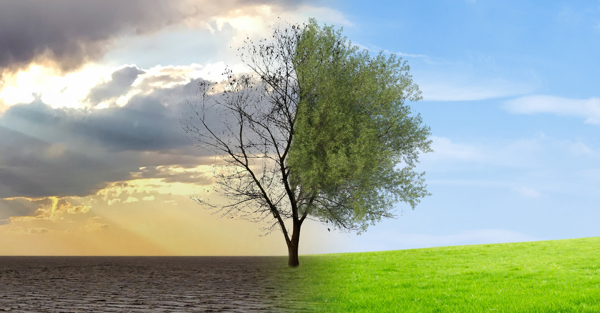 Climate Change Projections And Predictions For 2025