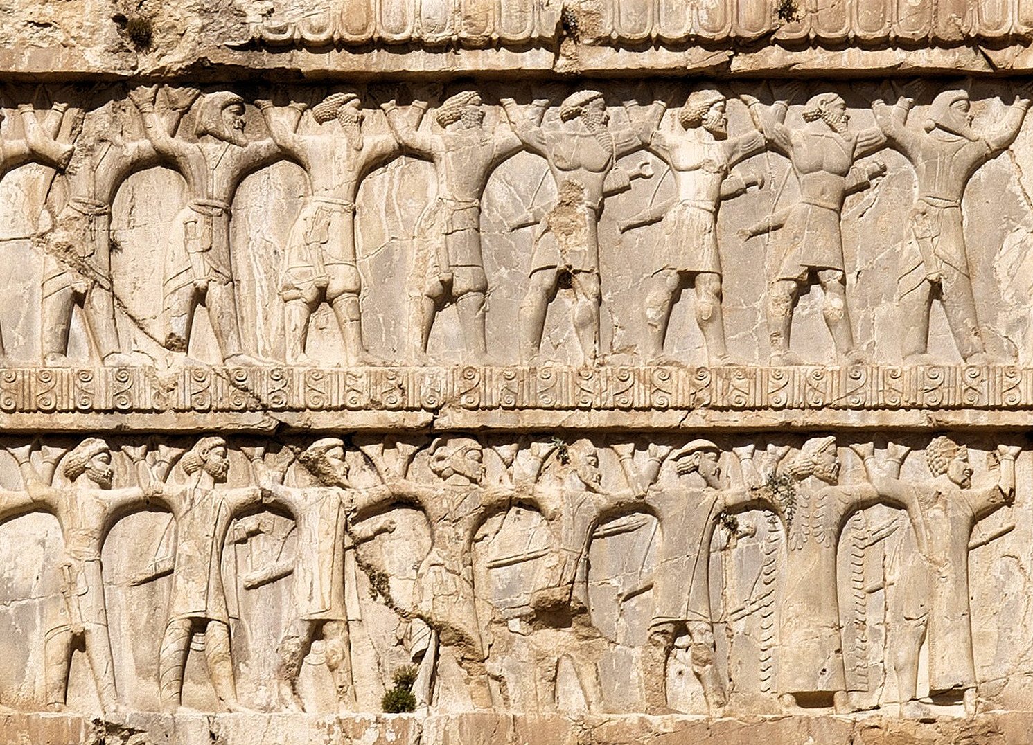 Xerxes all ethnicities