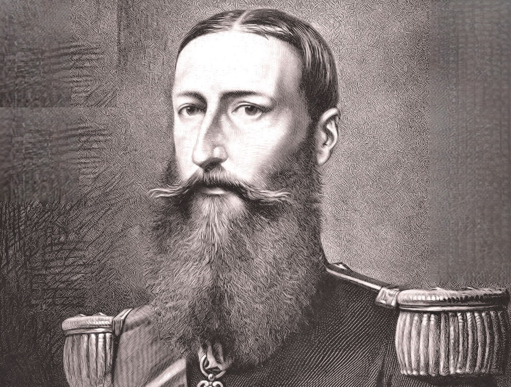 Old engraving of Léopold II, king of the Belgians - 1880