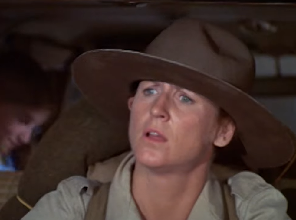 Screenshot of the TV Series The Brady Bunch