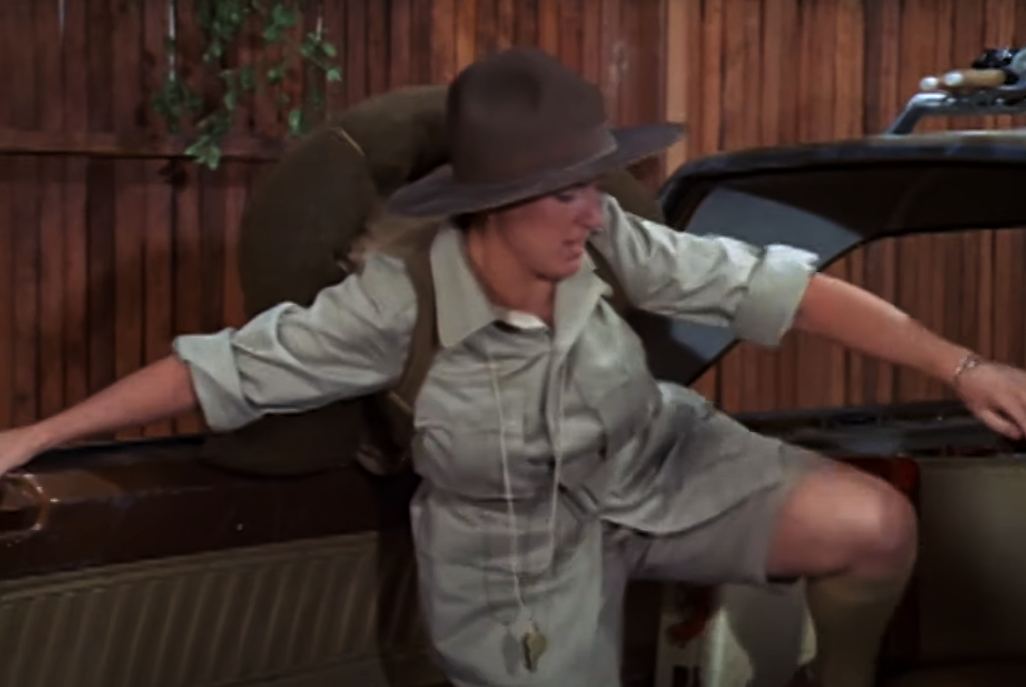 Screenshot of the TV Series The Brady Bunch