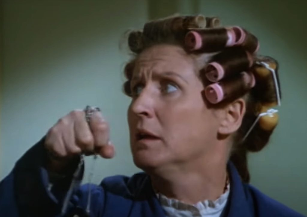 Screenshot of the TV Series The Brady Bunch