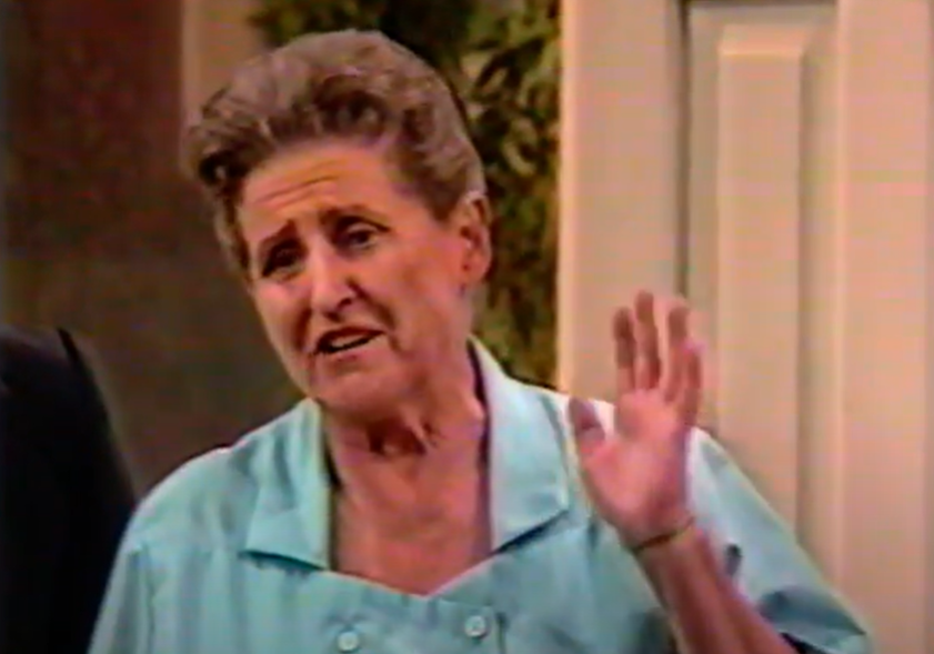 Screenshot of the TV Series Hi Honey, I'm Home