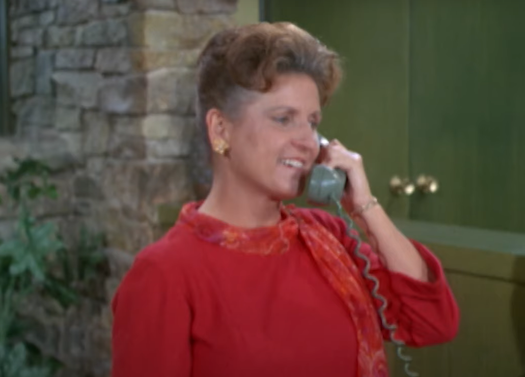 Screenshot of the TV Series The Brady Bunch