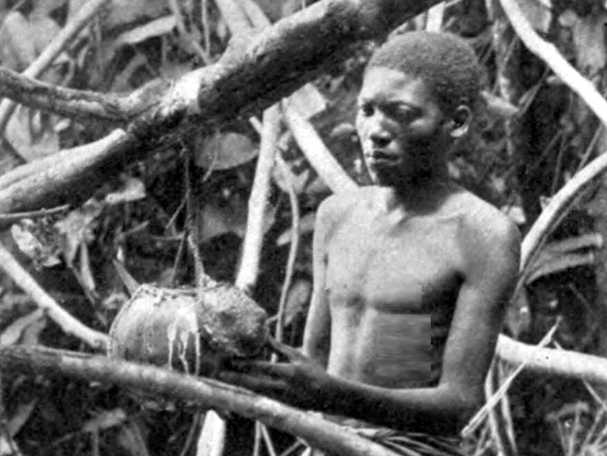 Workers Collecting Rubber in Forest of Lusambo