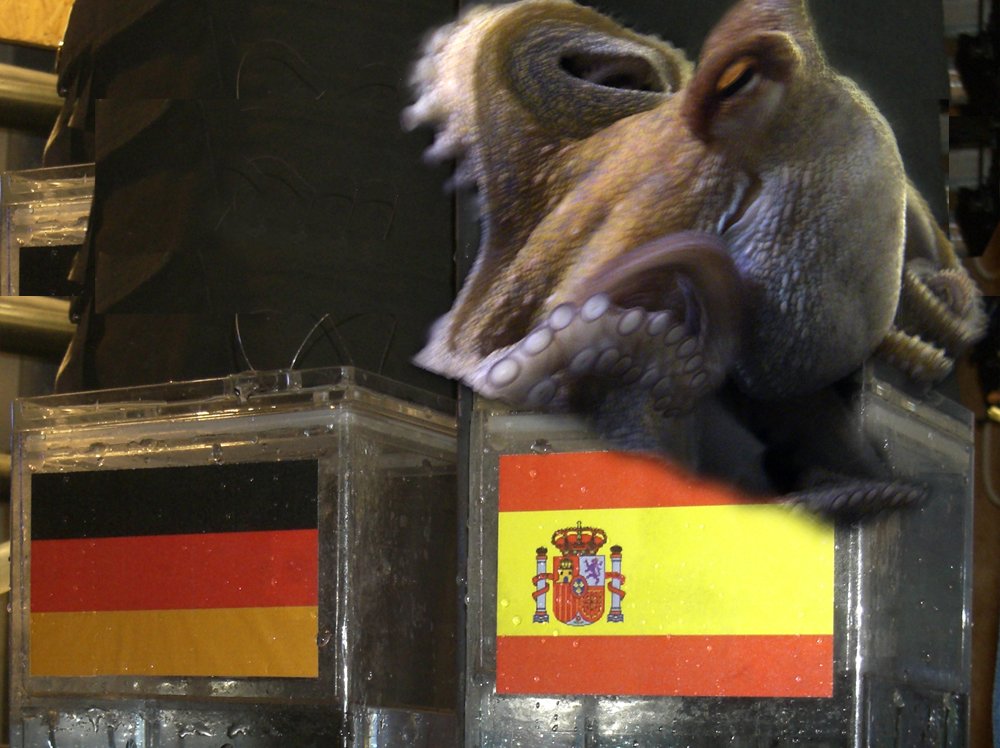 Paul The Octopus
