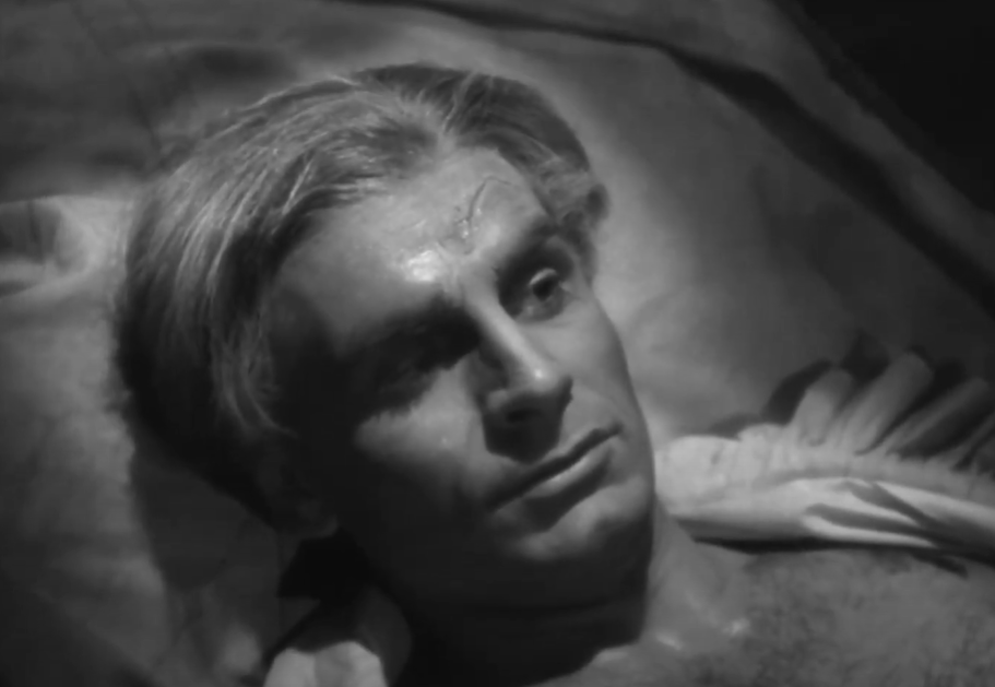 Screenshot of That Hamilton Woman (1941)