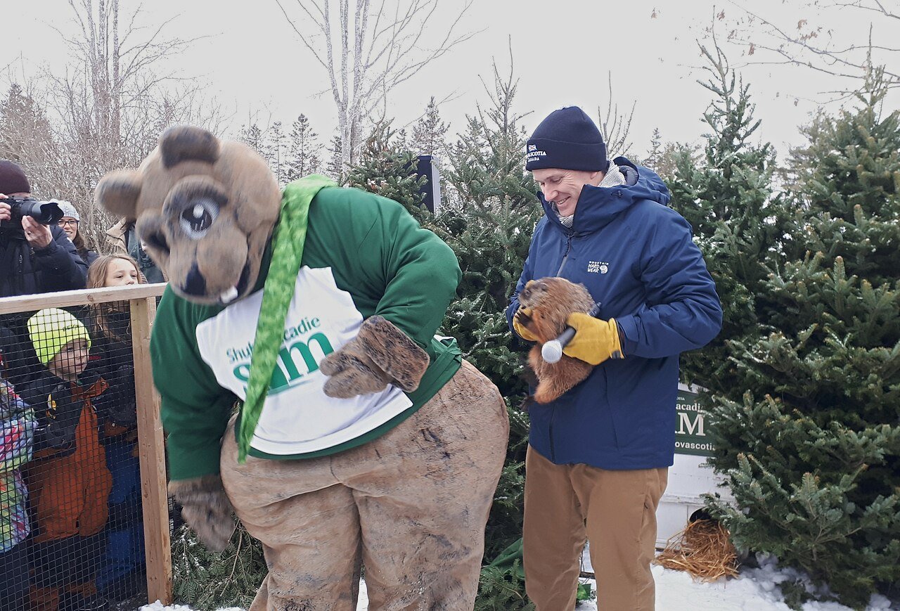 Shubenacadie Sam emerges to make her annual prediction at 8 am in Nova Scotia's Shubenacadie Wildlife Park