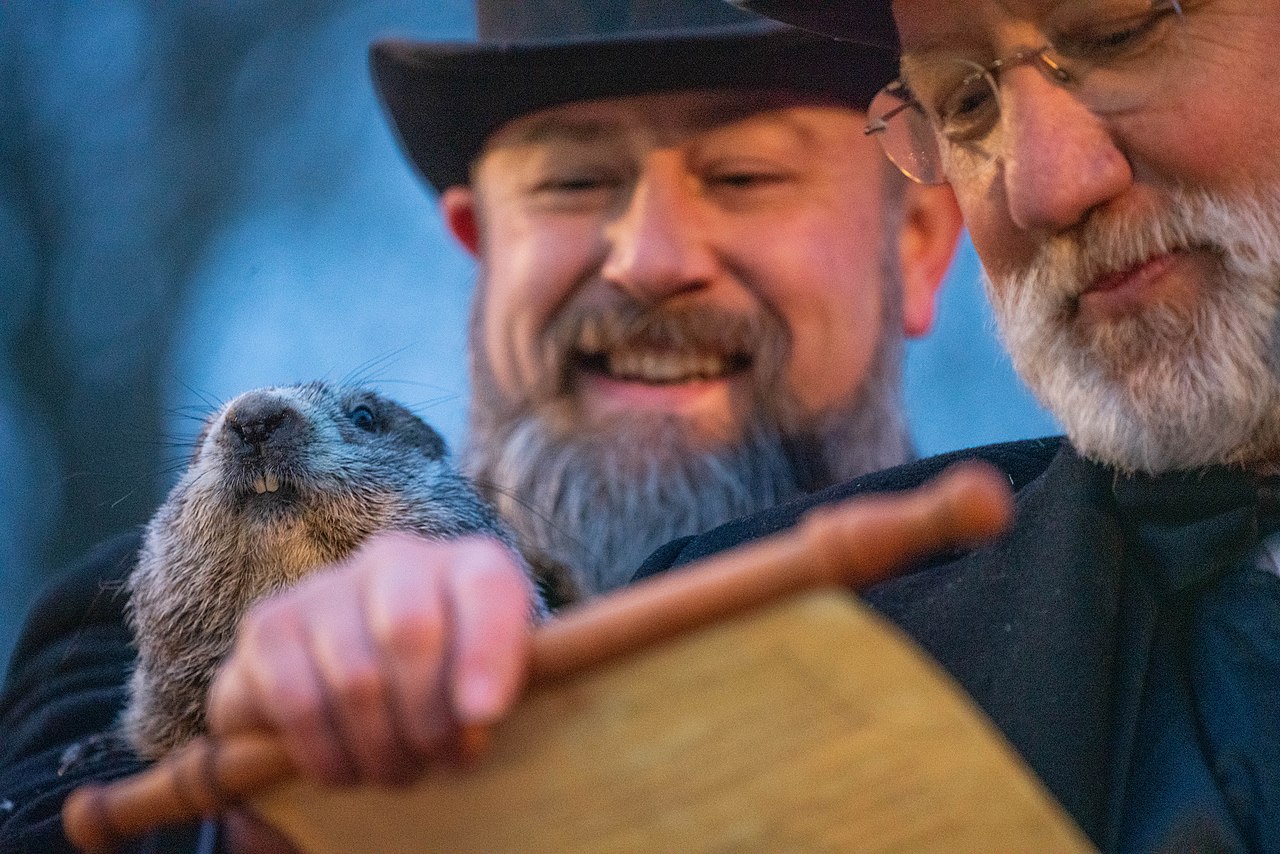Punxsutawney Phil Groundhog Day 2022
