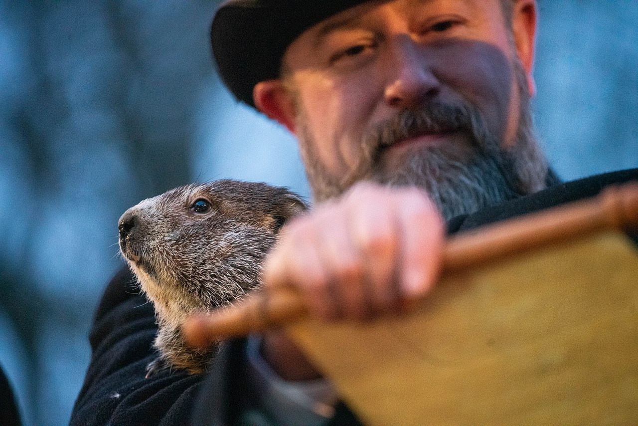 Punxsutawney Phil Groundhog Day 2022