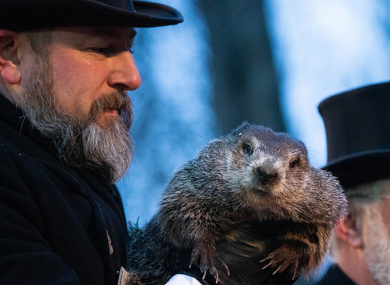 Punxsutawney Phil Groundhog Day 2022