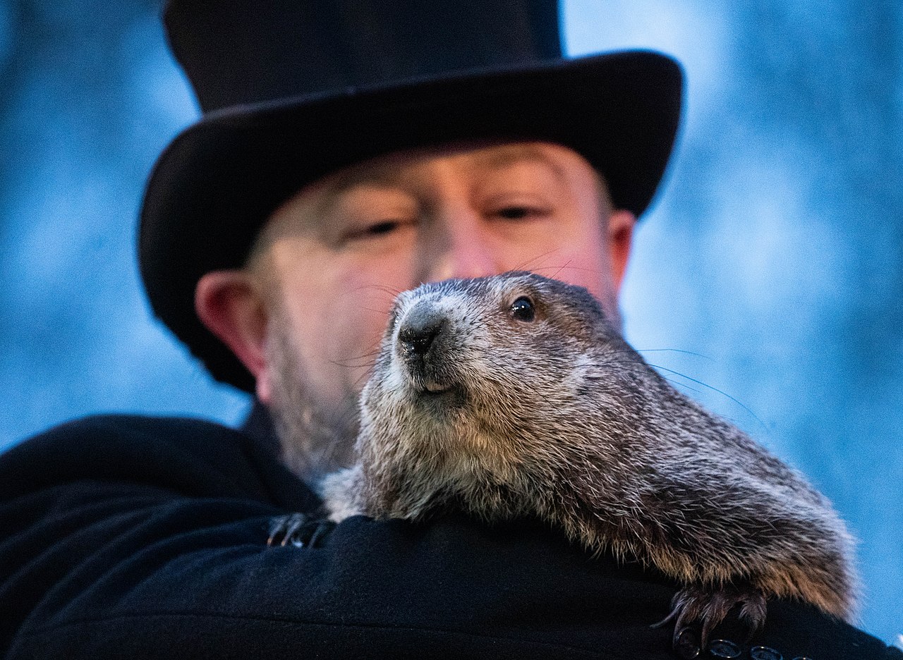 Punxsutawney Phil Groundhog Day 2022