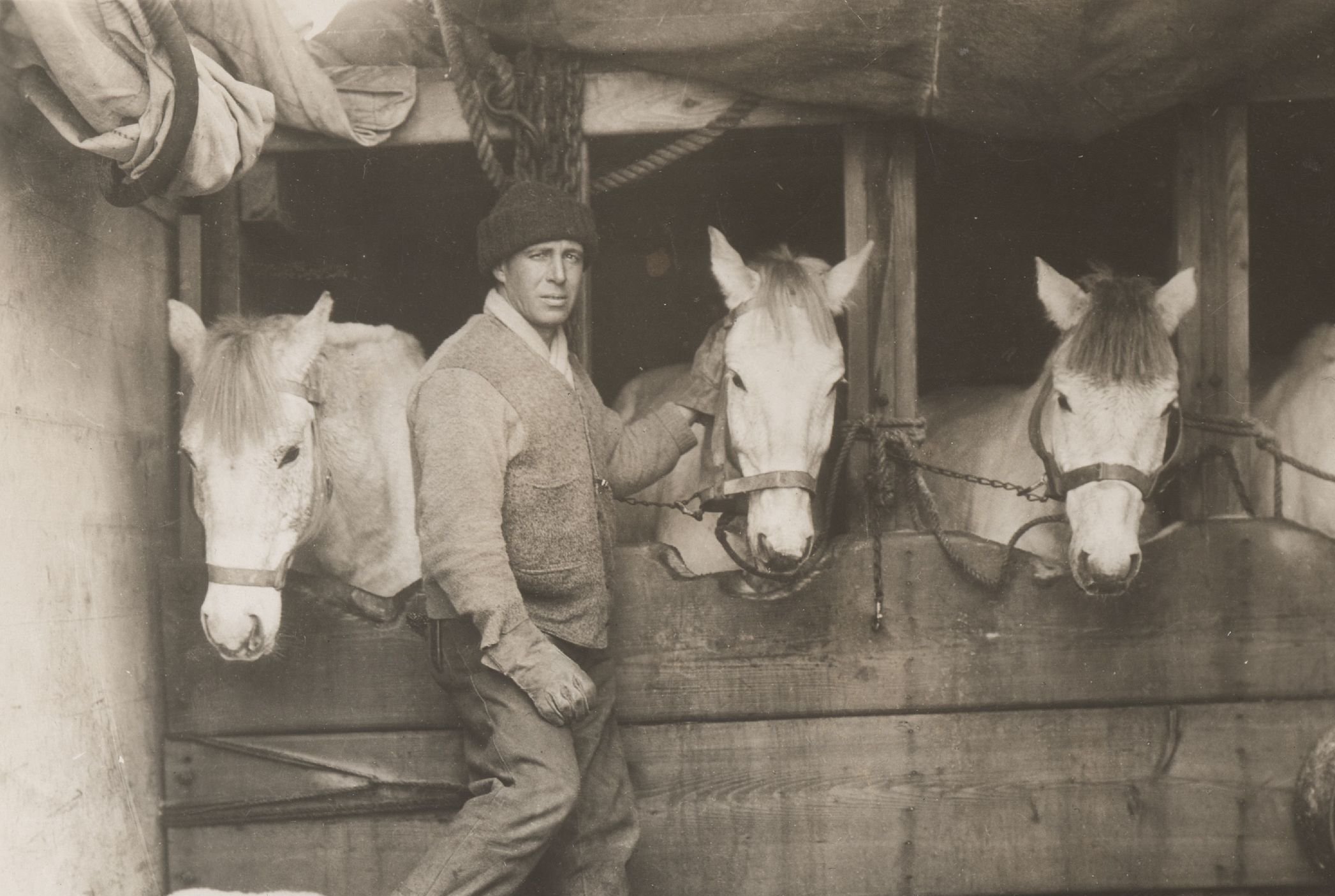Lawrence Oates's primary task on the expedition was to attend to its horses