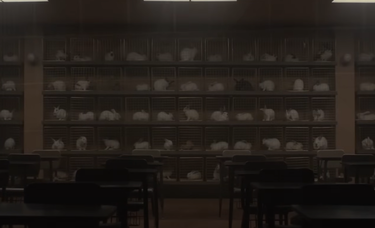 A screenshot from the movie Us