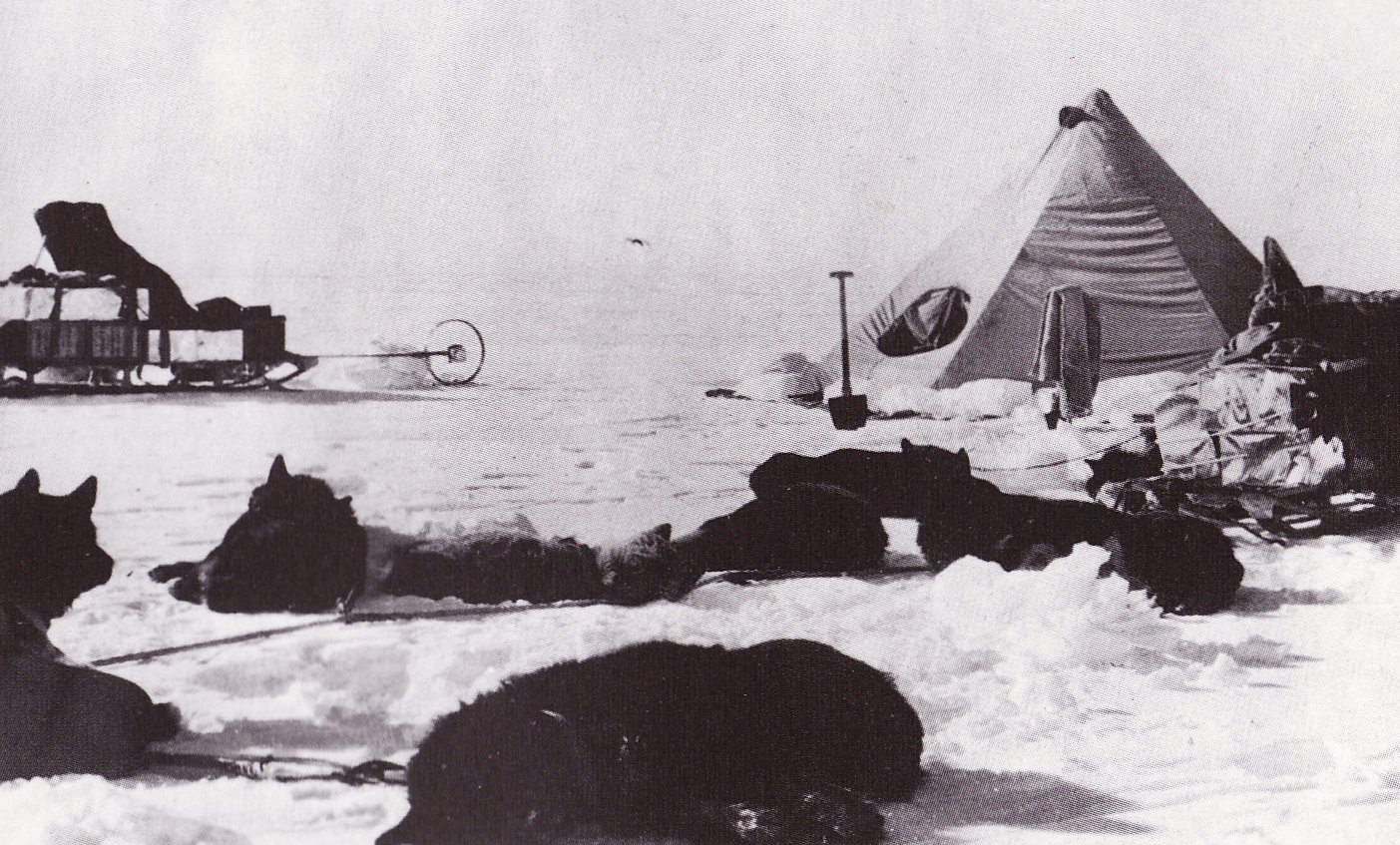 A temporary camp of the Terra Nova Expedition with supplies, sled dogs and tent.