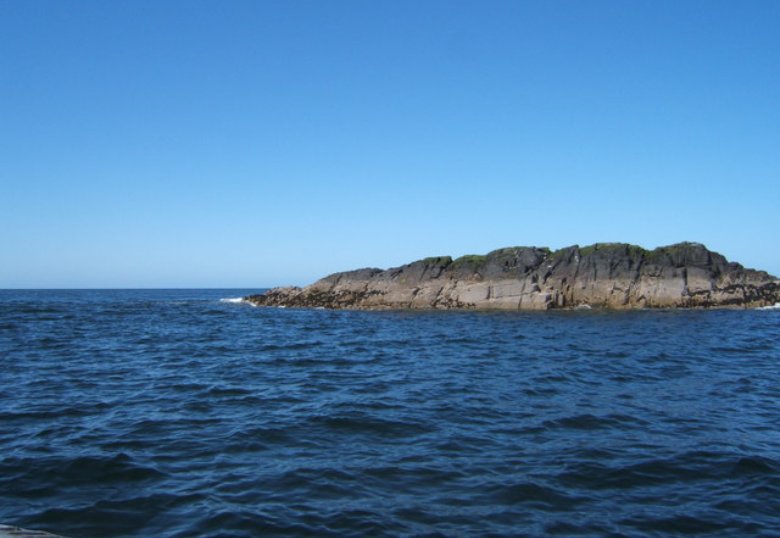 Big Harcar on Farne Islands during daytime