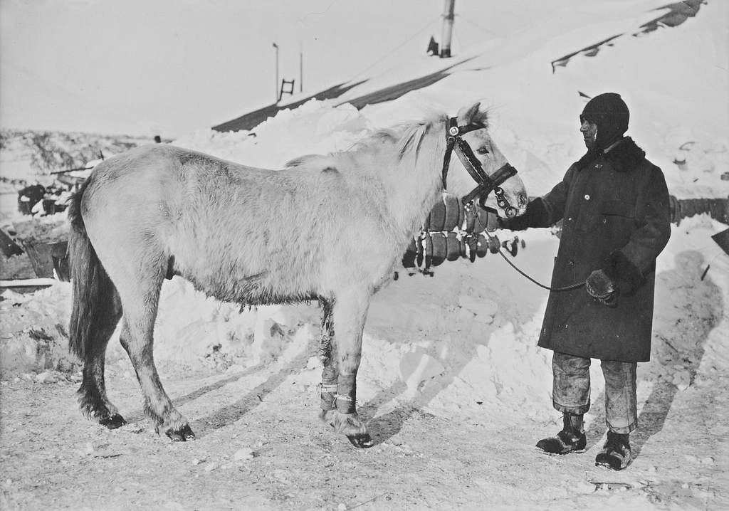 Terra Nova Expedition, led by Robert Falcon Scott