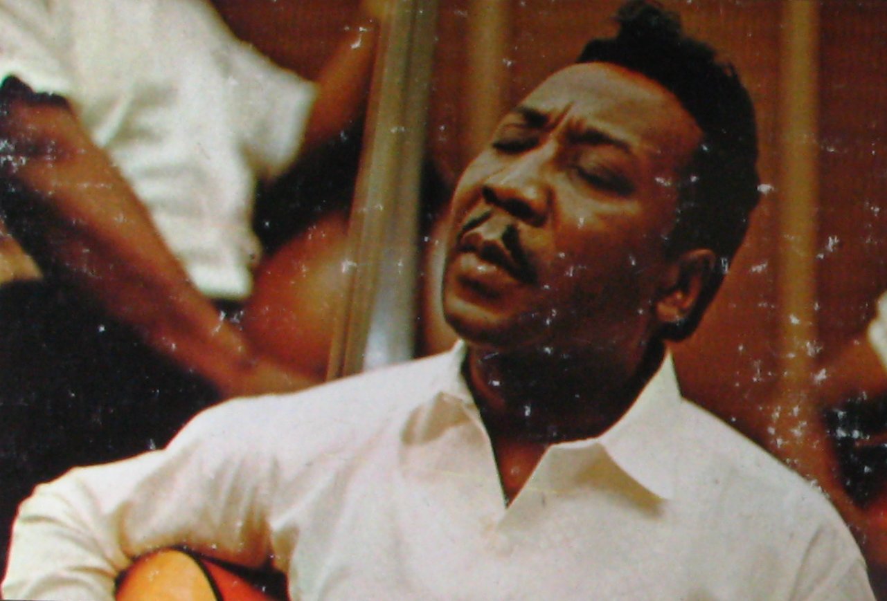 Muddy Waters - Folk Singer (Chess LP 1483)