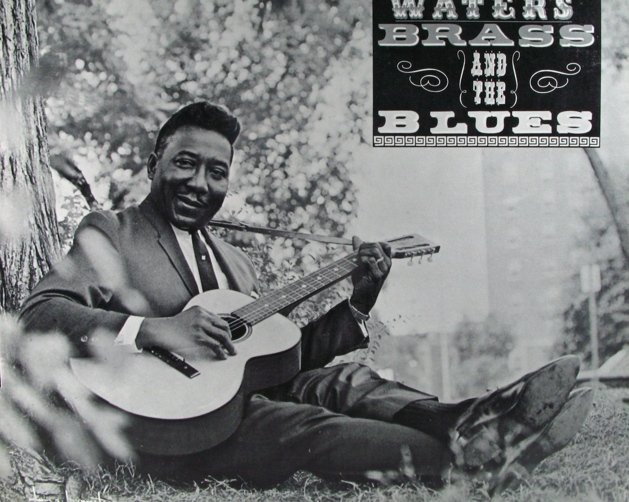 Muddy Waters - Brass and Blues