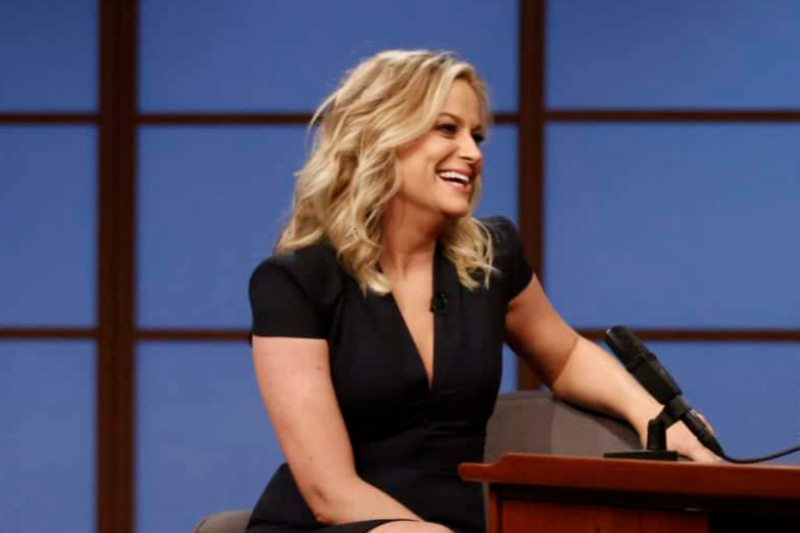 Actress Amy Poehler during an interview