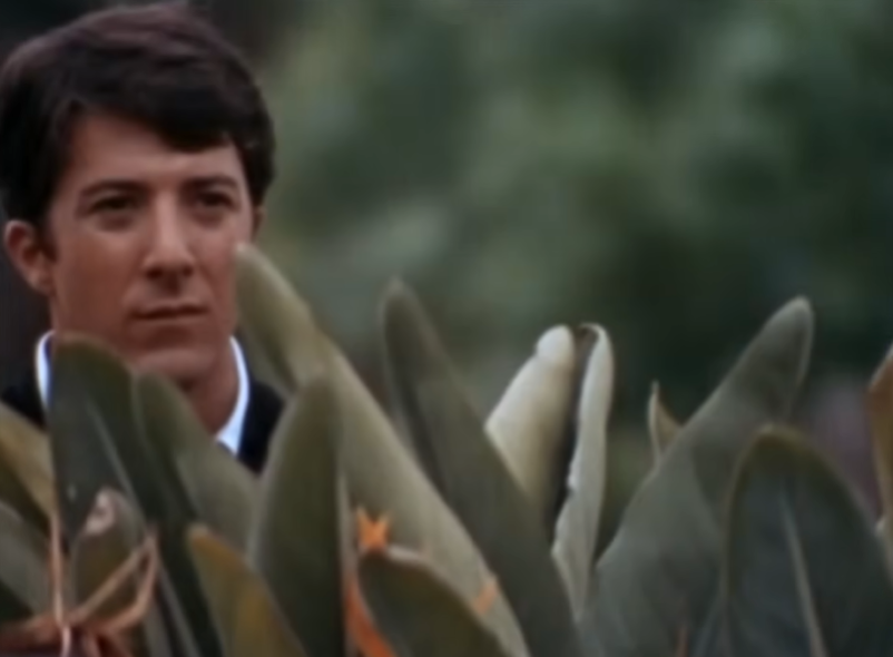 Dustin Hoffman closeup shot
