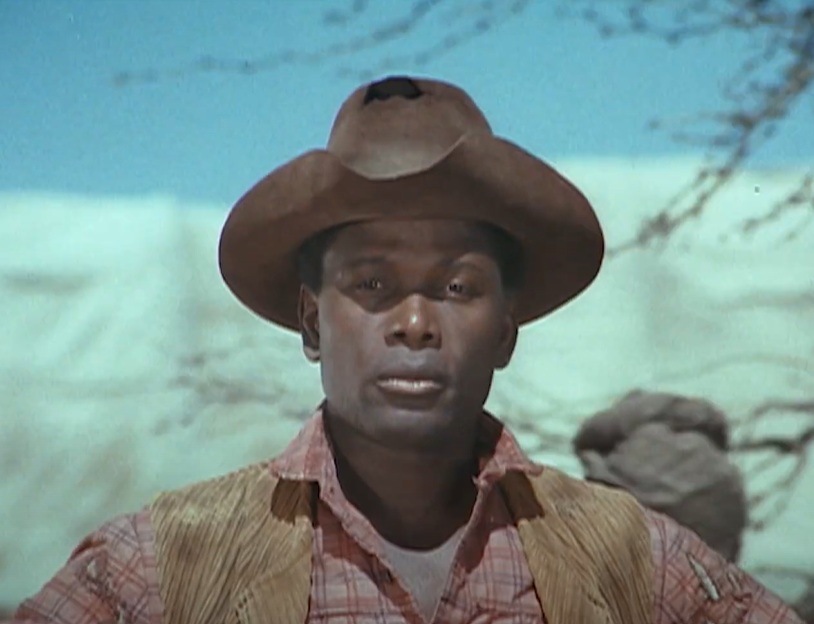 A visually captivating still taken from a pivotal moment in the film Buck and the Preacher (1972)