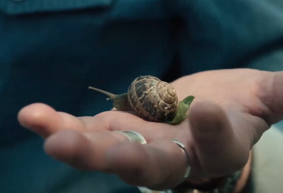 Screenshot from - Loving Highsmith (2022)