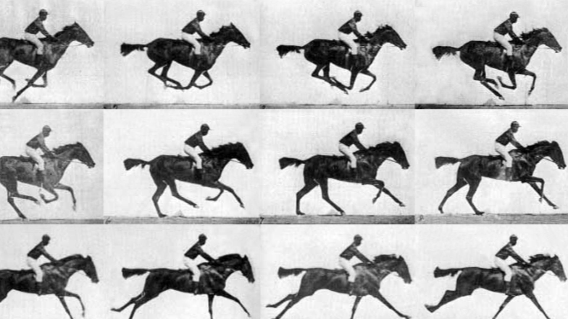File:Muybridge race horse gallop.jpg