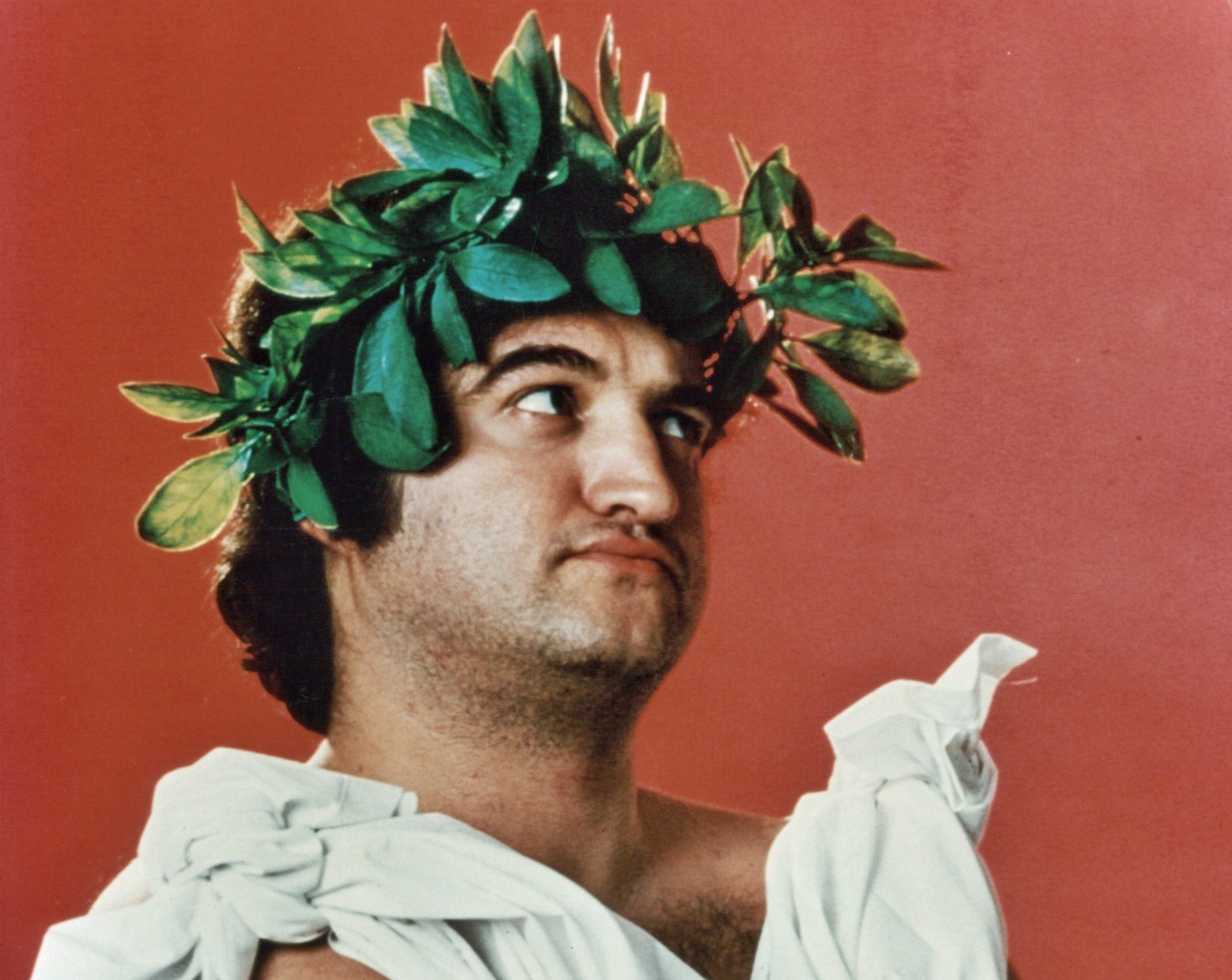 Happy Heavenly Birthday : John Adam Belushi January 24, 1949 – March 5, 1982
