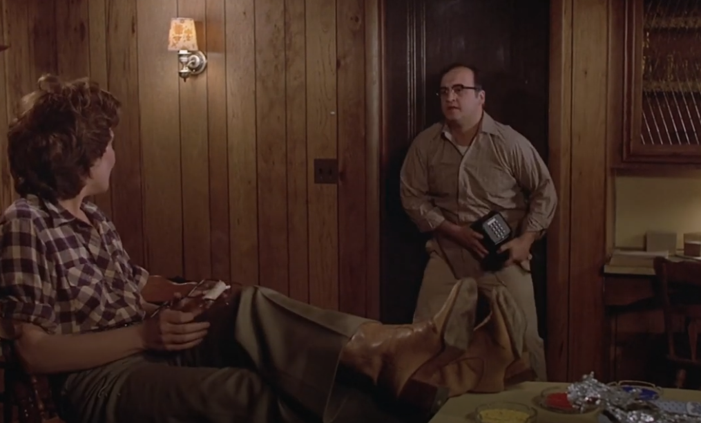 Screenshot from the movie Neighbors (1981)