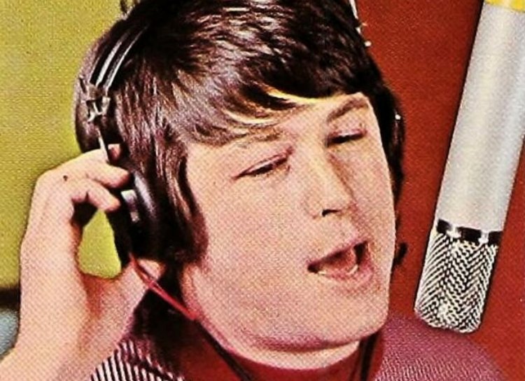 Cashbox advertisement for the Pet Sounds album