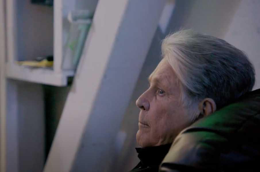 Screenshot of the documentary Brian Wilson: Long Promised Road