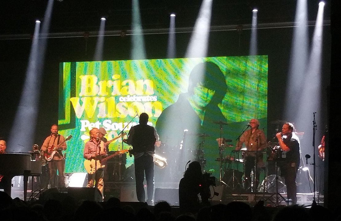 Wilson performing Pet Sounds at Byron Bay Bluesfest