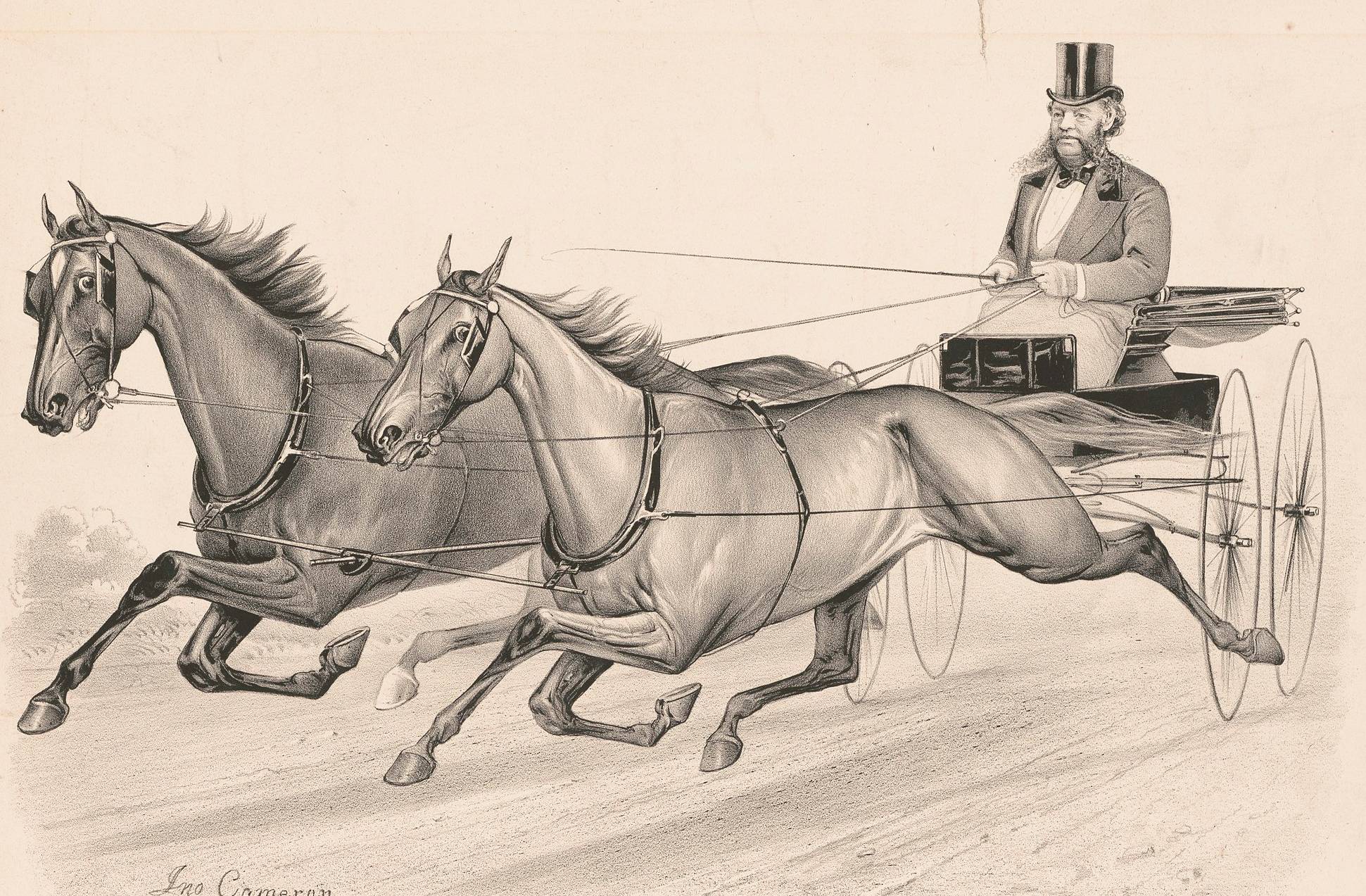 William Henry Vanderbilt on a carriage with horses