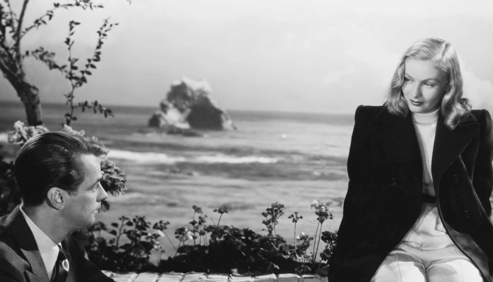 Alan Ladd as Johnny Morrison and Veronica Lake as Joyce Harwood