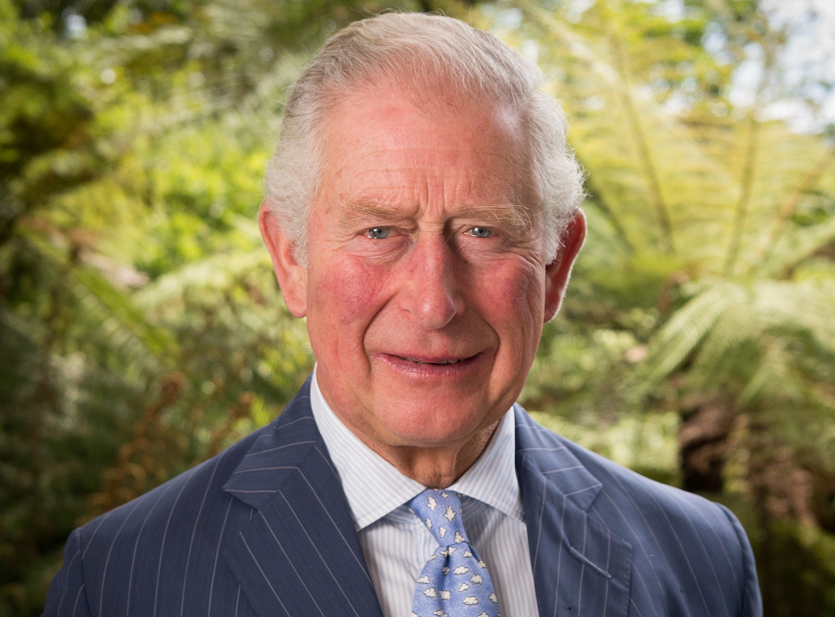 Official portrait of Charles, Prince of Wales