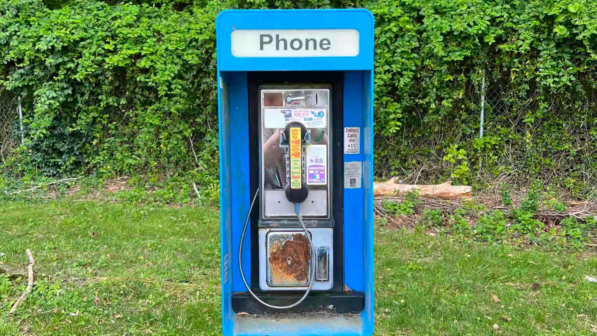 File:Payphone near Richmond, Virginia, 2024.jpg