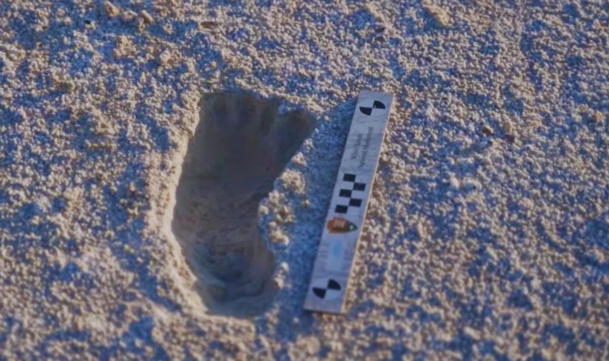 Ancient Footprints In White Sands