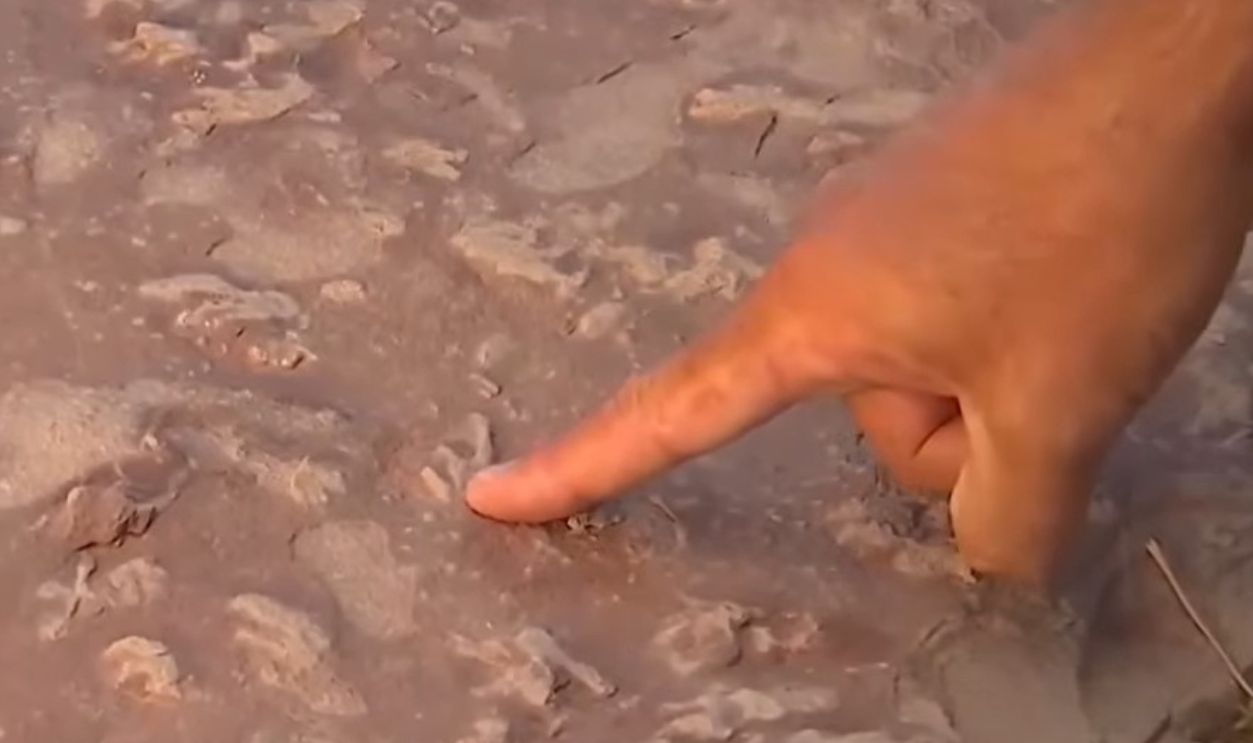 Fossilized Camel Tracks In Arizona