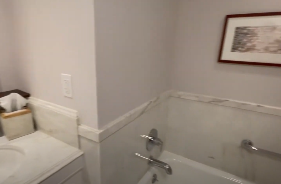 A screenshot from a video about Ritz-Carlton Orlando