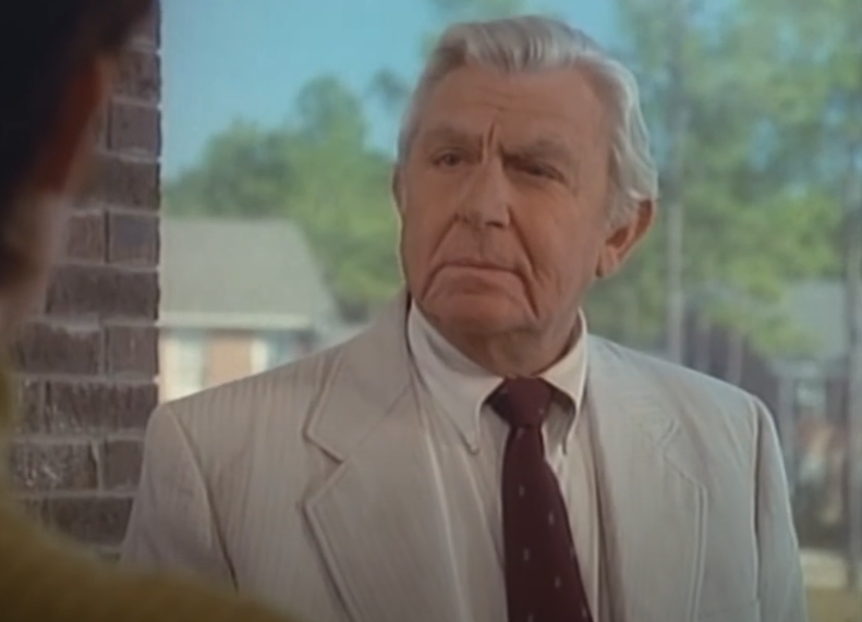Screenshot of the TV Series Matlock