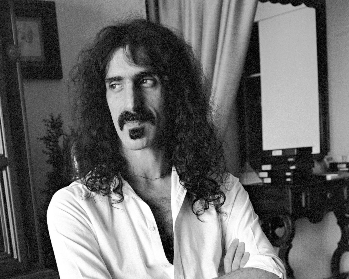 Portrait of Frank Zappa