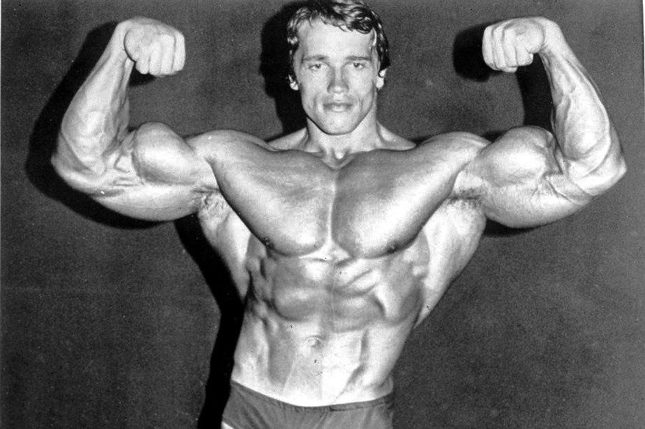 File:Arnold Schwarzenegger 1974.jpg