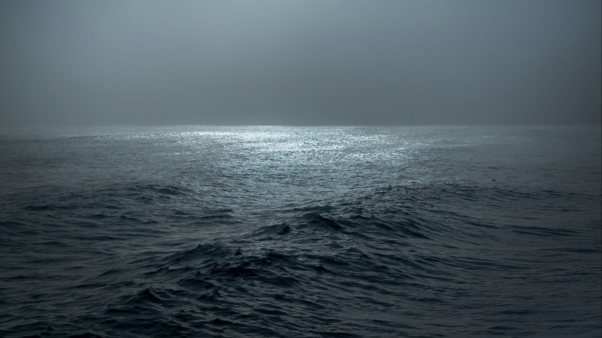 full moon lighted body of water