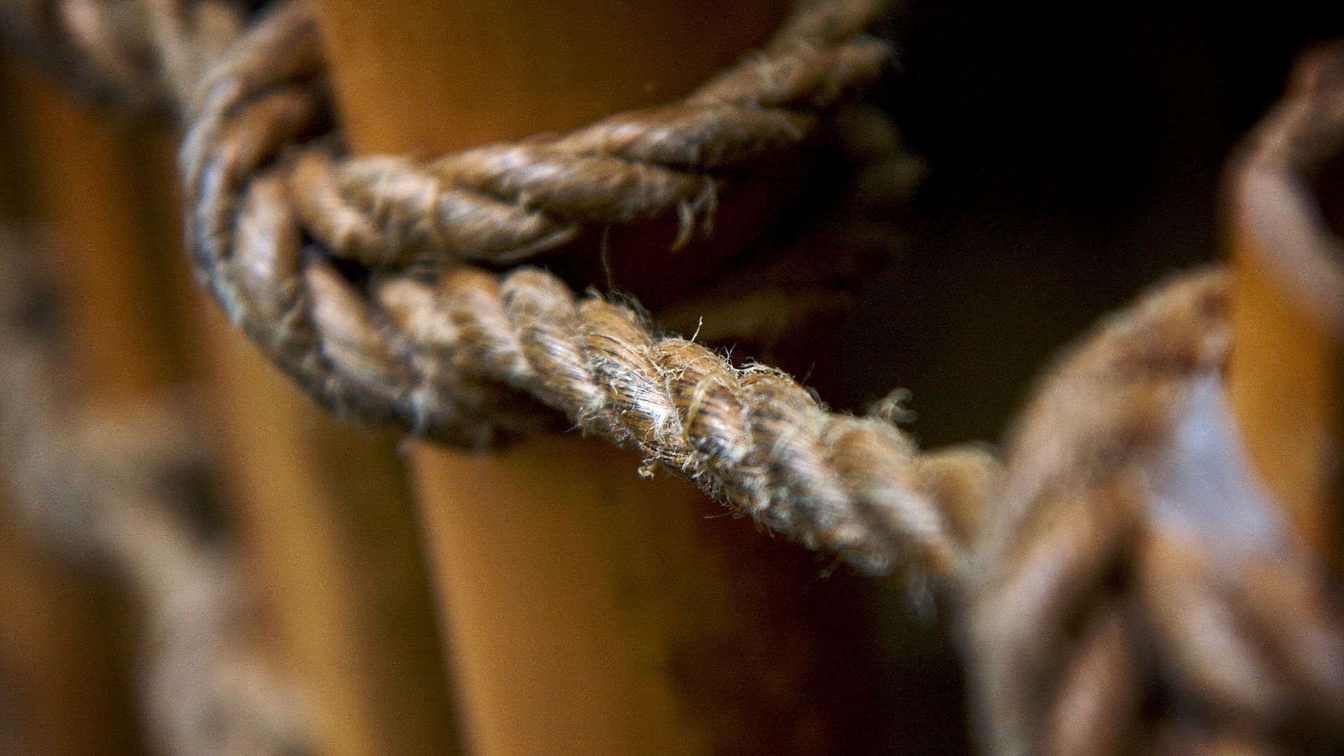 File:Hemp-rope.jpg